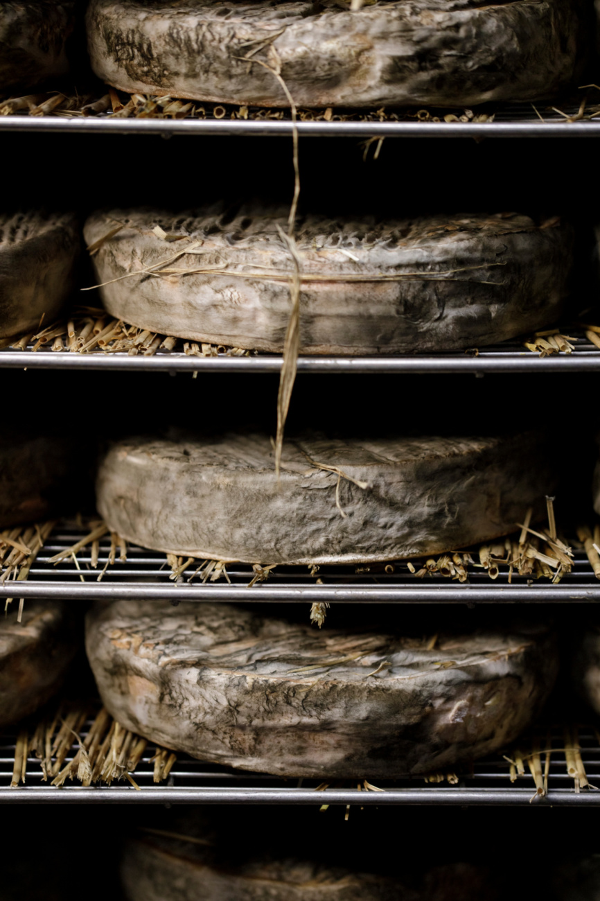 Saint-Nectaire affiné sur paille