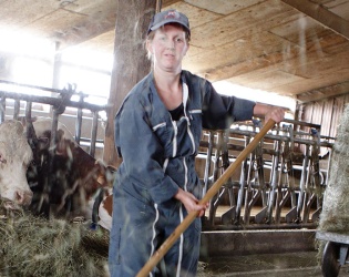 Exploitation laitière à reprendre en AOP Saint-Nectaire