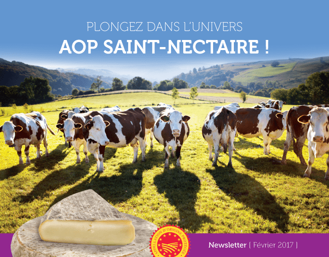 Plongez dans l'univers AOP Saint-Nectaire ! - Newsletter Février 2017