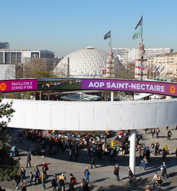 L'AOP Saint-Nectaire part en campagne !