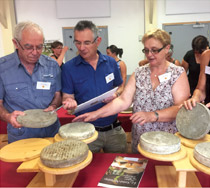 Concours national officiel - Les meilleurs Saint-Nectaire vont briller à Brion !