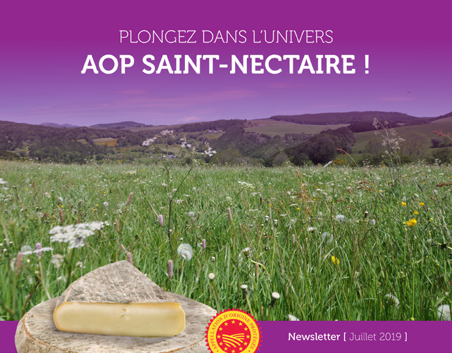 Plongez dans l'univers AOP Saint-Nectaire ! - Newsletter Juillet 2019