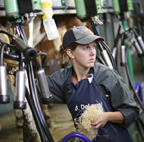 Cet été, rencontrez nos producteurs