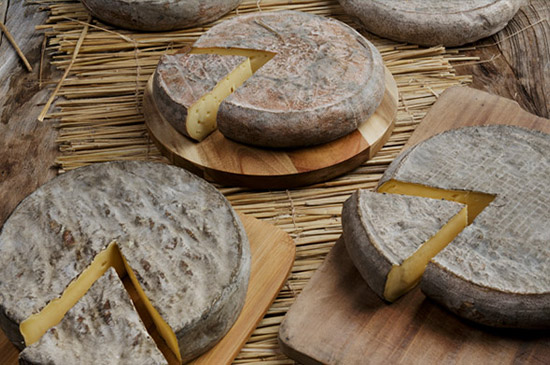 RAISON N°1 - Le plaisir d'un fromage tendre et généreux