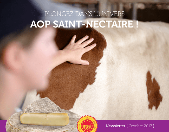 Plongez dans l'univers AOP Saint-Nectaire ! - Newsletter Octobre 2017